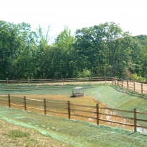 DSCF0947