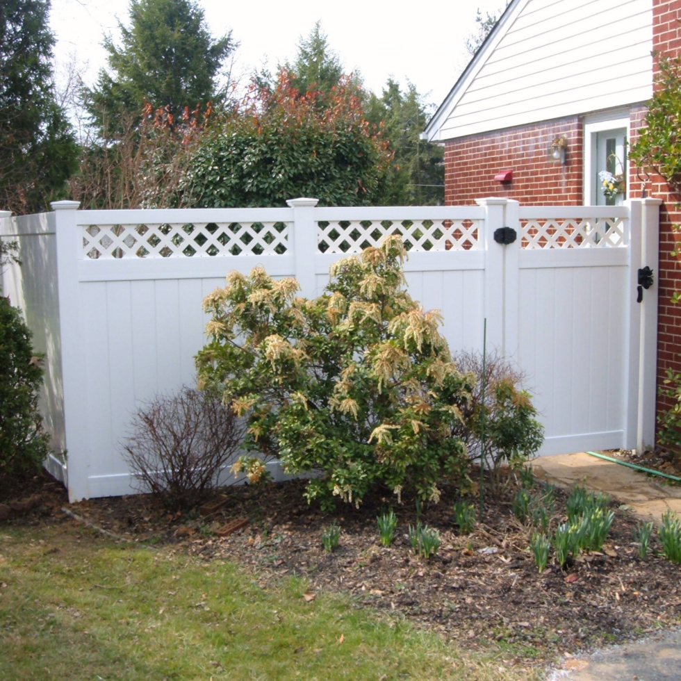 A white privacy fence with decorative lattice top runs along a garden area in front of a brick house. In the garden, there is a large bush with cream-colored flowers, and several smaller, leafless shrubs. Green plants are emerging from the soil near the base of the bush. The background shows tall trees and shrubs, with a cloudy sky overhead.